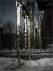 Слезы зимы